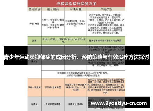 青少年运动员抑郁症的成因分析、预防策略与有效治疗方法探讨