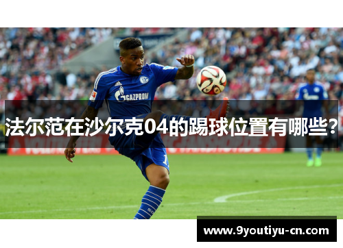 法尔范在沙尔克04的踢球位置有哪些？